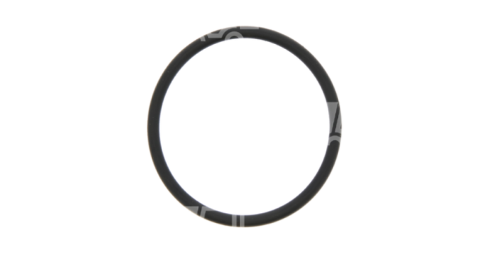 O-ring Jungheinrich AM2000 (do 1999)