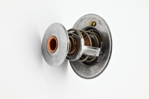 Termostat Nissan TD27