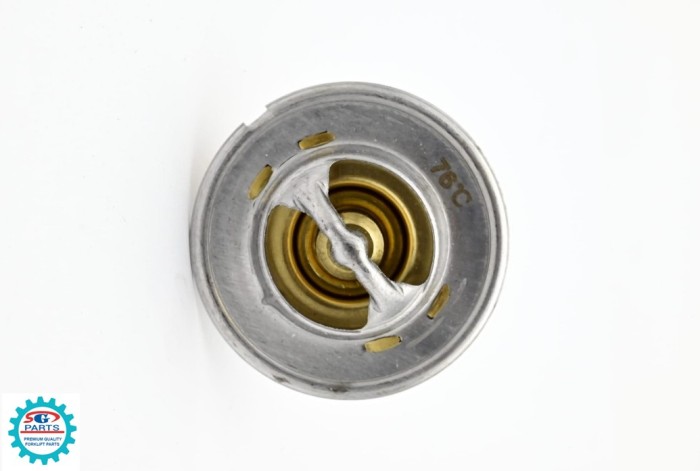 Termostat Nissan A15 (SG)