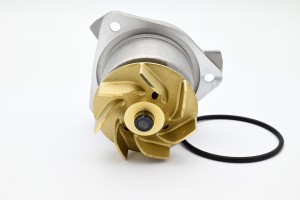 Pompa wody Volkswagen BMF